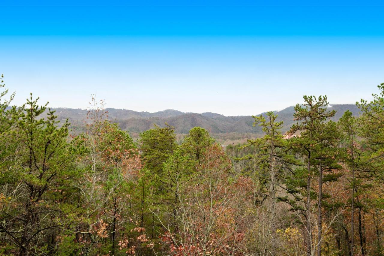 Grizzly Manor Villa Pigeon Forge Dış mekan fotoğraf
